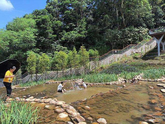 为非中合作开辟更广阔的前景（国际论坛）